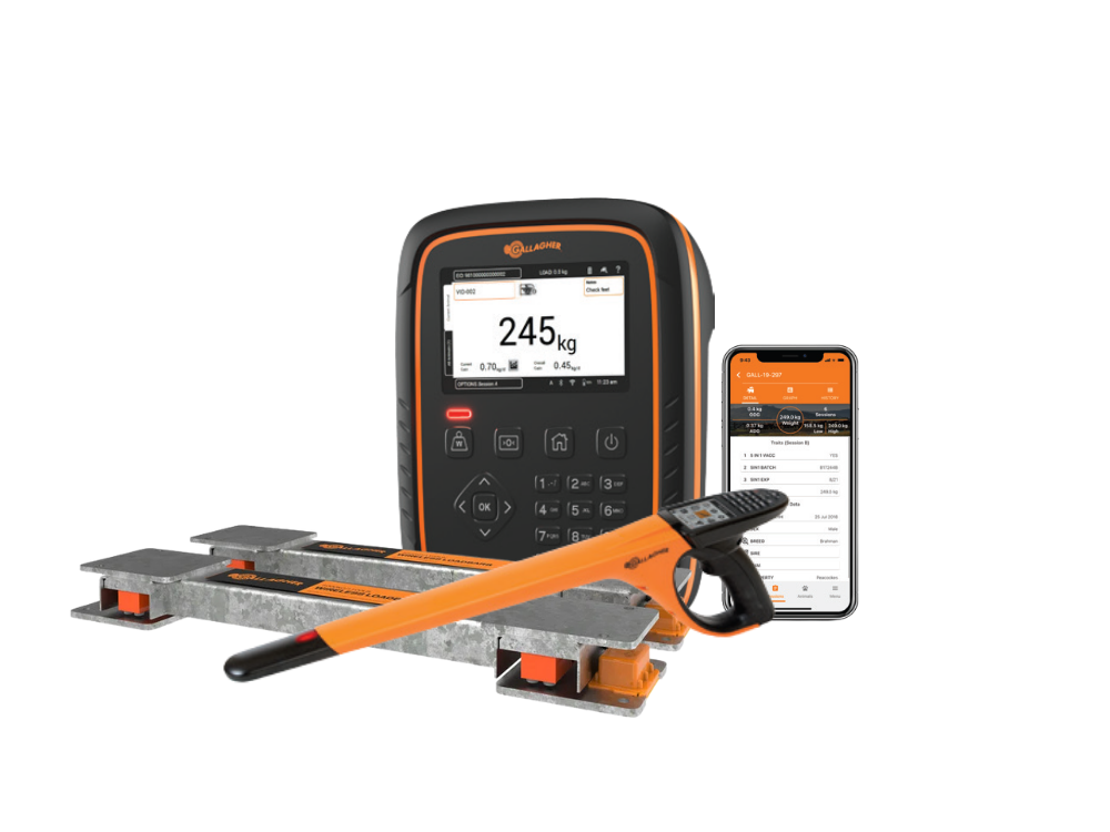 sheep weighing kit 3