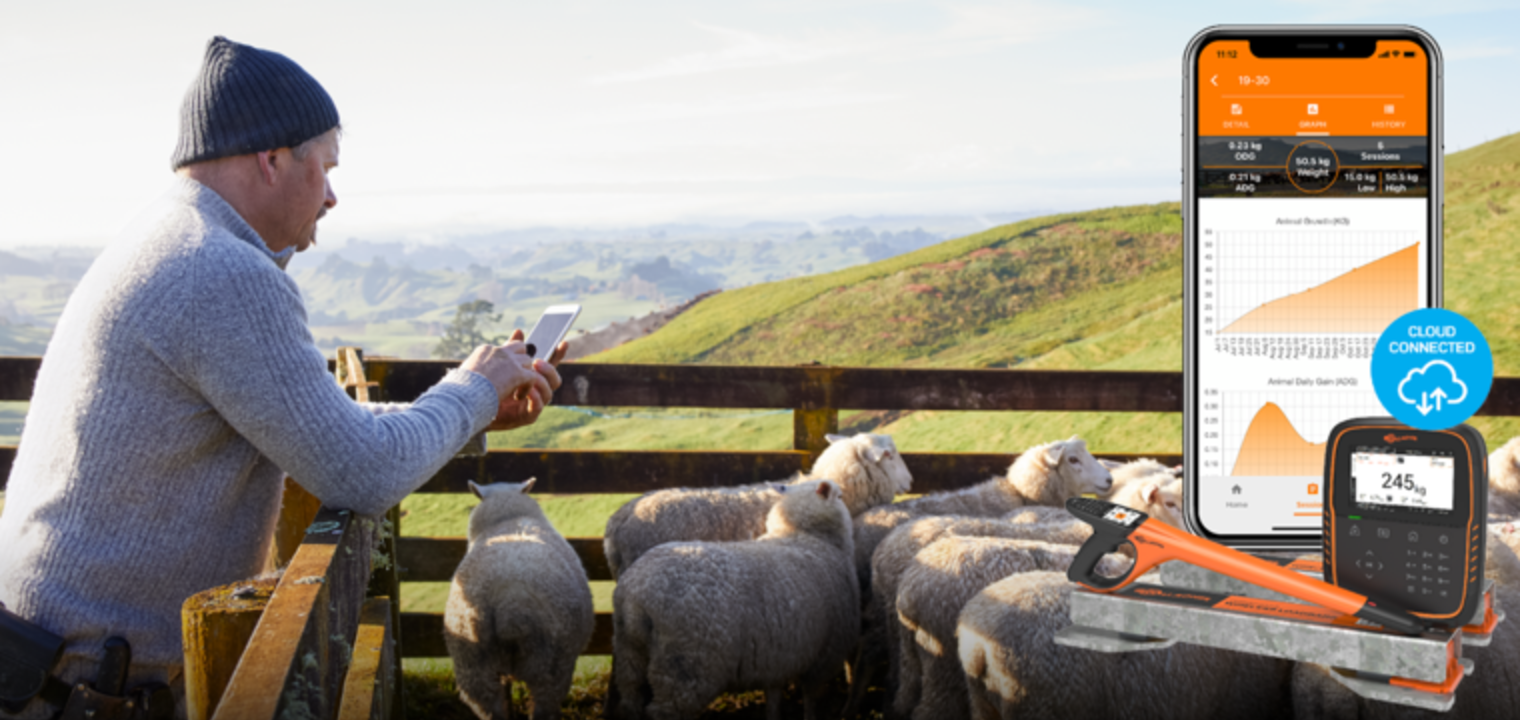 FETF grants for livestock weighing and EID 2026 UK