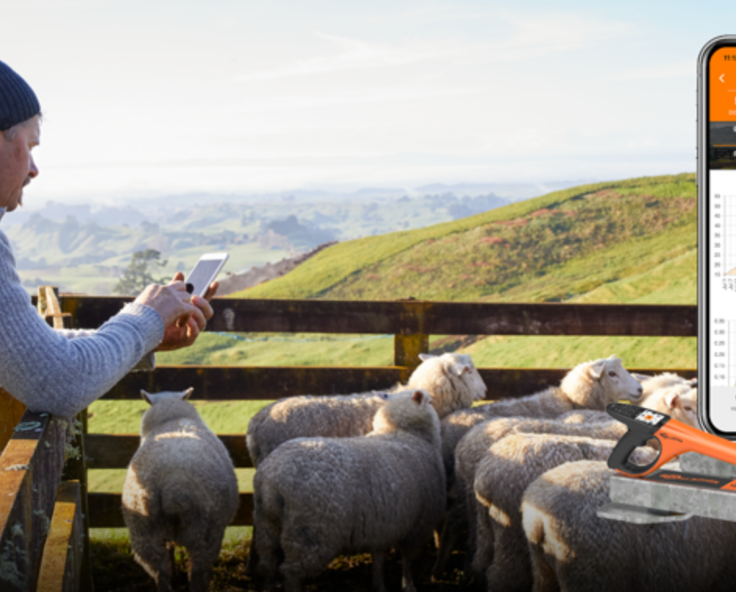 FETF grants for livestock weighing and EID 2026 UK