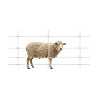 Gallagher Fibreglass Electric Fence Kit for Sheep  – 1.25 m x 200 m