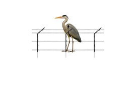 Gallagher Pond Electric Fence Kit for Herons - 50 m