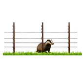 All about Badger Fencing