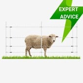 All about Sheep Fencing