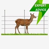 All About Deer Fencing