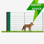 All about Fox Fencing