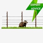 All about Badger Fencing