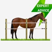 All about Horse Fencing