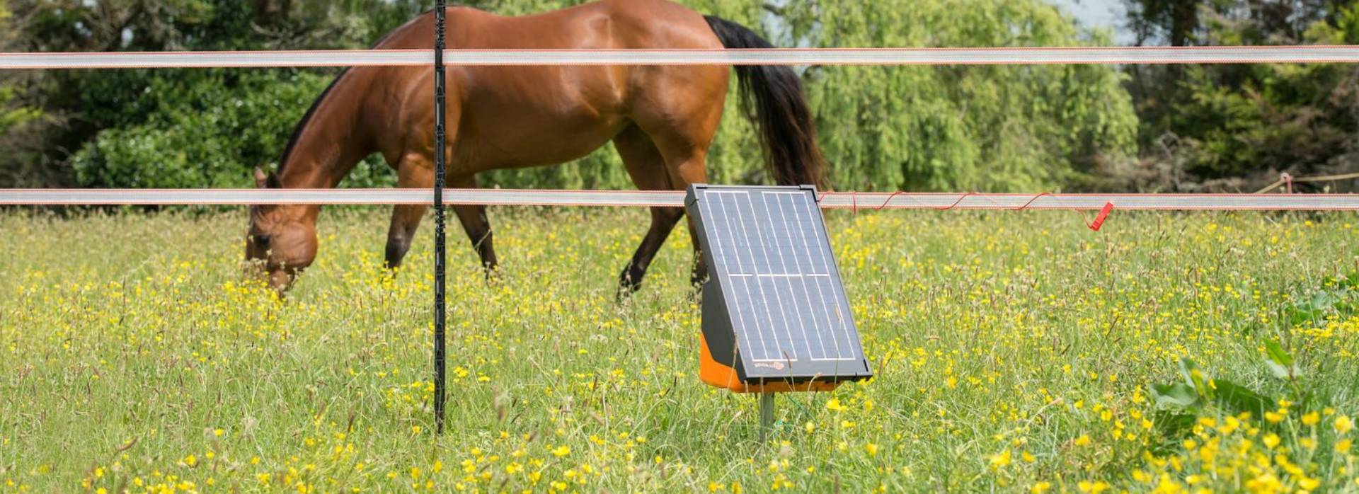 Smarter Spring Turnout