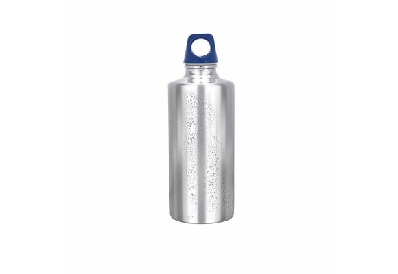 Stainless Bottle 500
