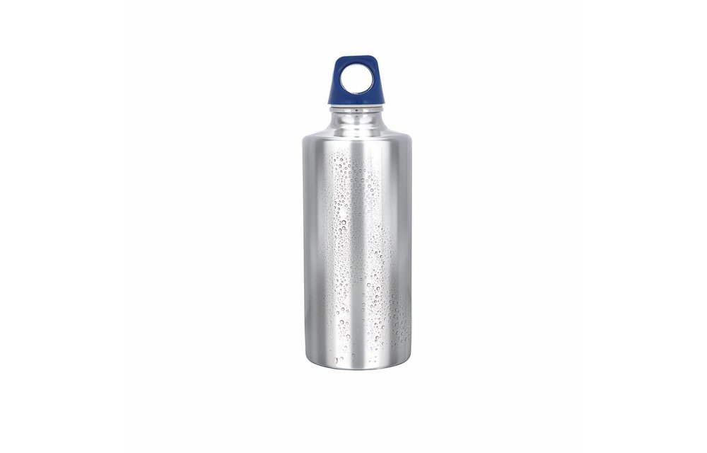 Stainless Bottle 1000