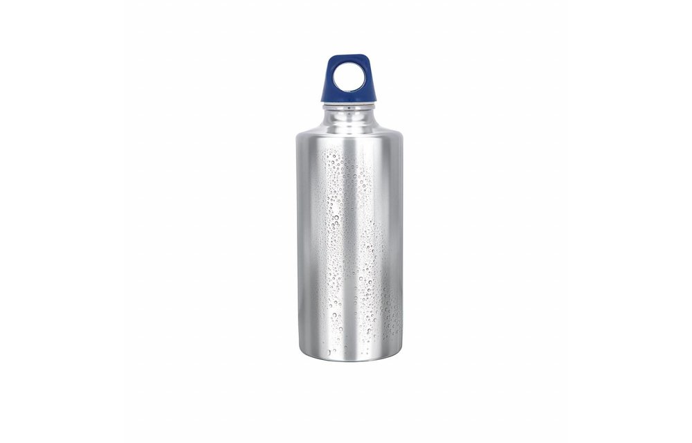 Stainless Bottle 1000