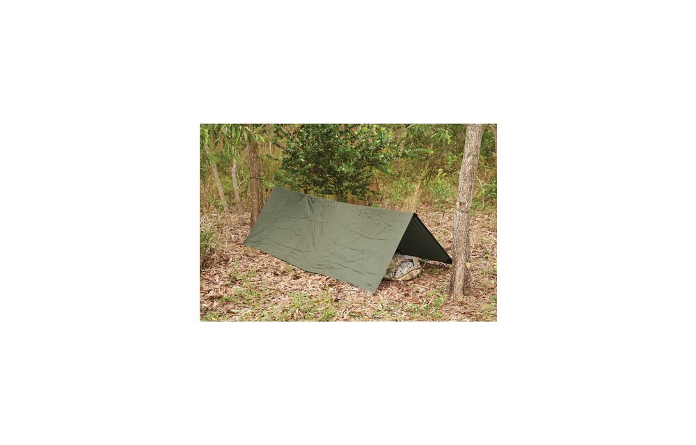 Stasha G2 (Olive)