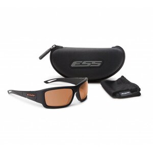 Credence (Black Frame - Mirrored Copper Lenses)