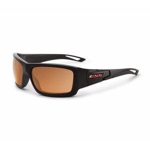 Credence (Black Frame - Mirrored Copper Lenses)