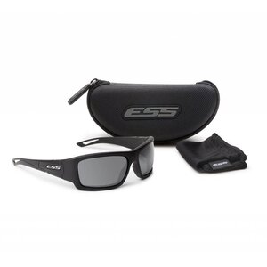 Credence (Black Frame - Smoke Gray Lenses)