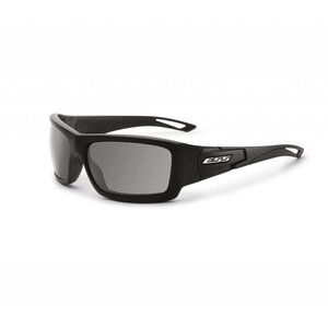 Credence (Black Frame - Smoke Gray Lenses)