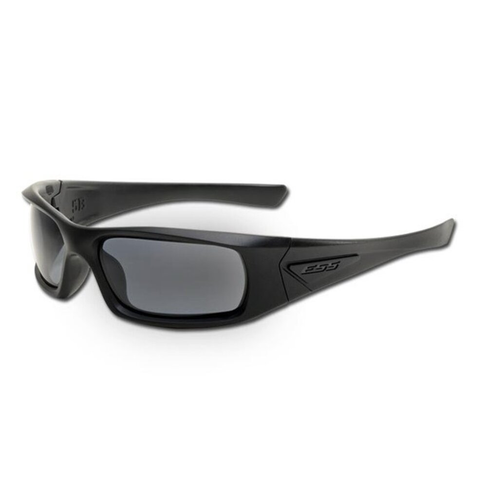 5B (Black Frame - Smoke Gray Lenses)