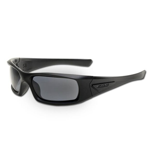 5B (Black Frame - Smoke Gray Lenses)