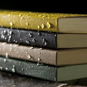 All Weather Notebook No. 374 (Yellow)