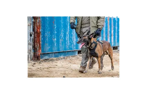 Aros K9 Dog Collar 1.5" (Black)