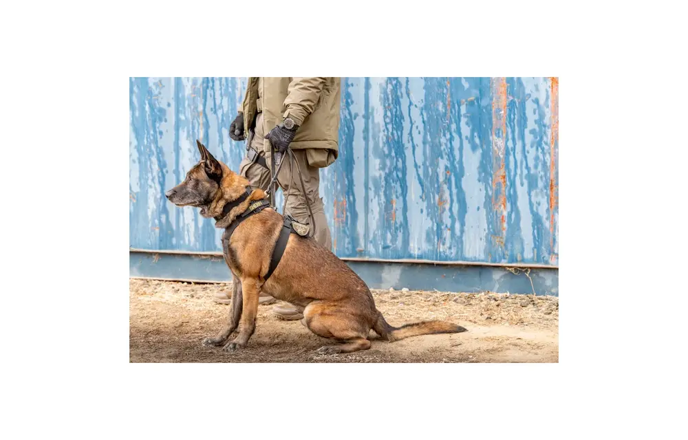 Aros K9 Dog Harness (Black)