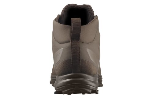 Speed Assault 2 GTX Shoes (Earth Brown)