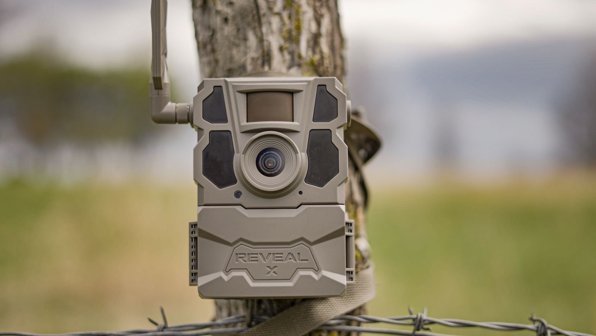 Trail Camera Wildcamera Reveal XG2