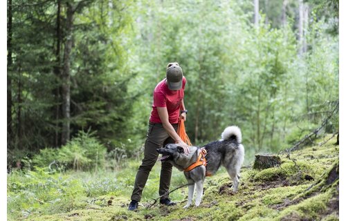 Dames Finnveden Hybrid Broek (Roze Bruin/Antraciet)