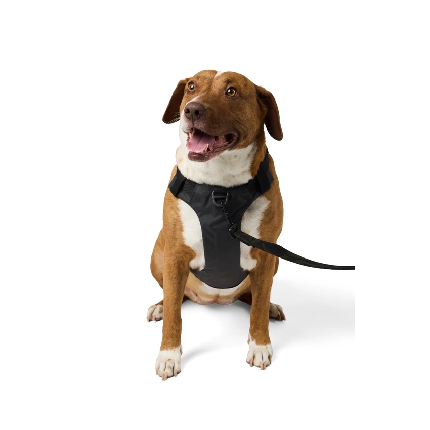 Misson Ready Dog Harness 2.0 (Volcanic)