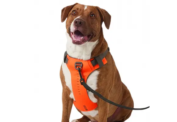 Misson Ready Dog Harness 2.0 (Fluorescent Orange)