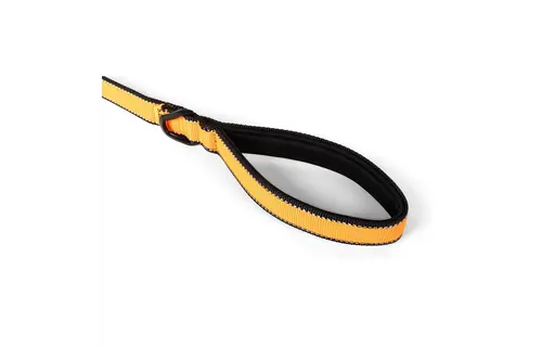 Mission Ready Dog Leash (Fluorescent Orange)