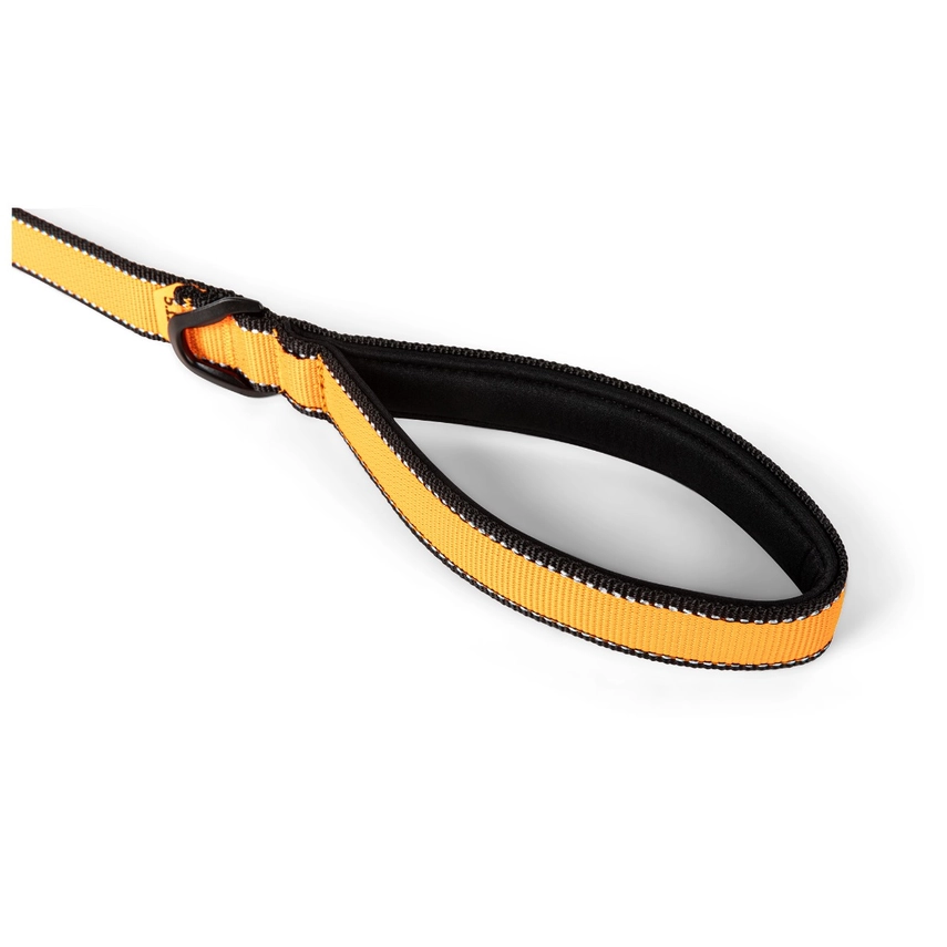Mission Ready Dog Leash (Fluorescent Orange)