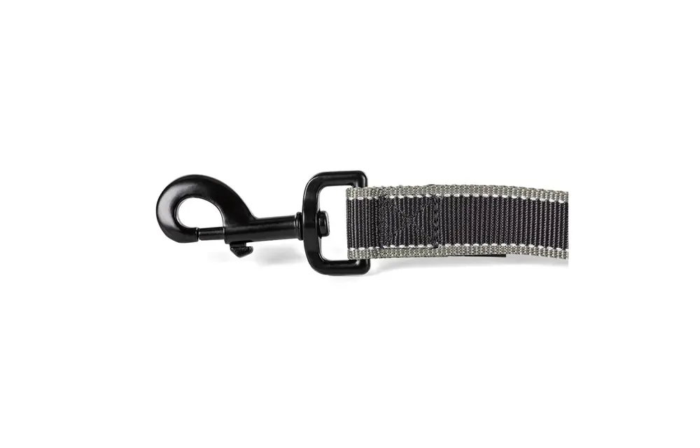 Mission Ready Dog Leash (Volcanic)