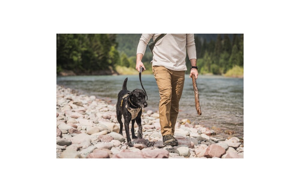 Mission Ready Modular Dog Leash (Fluorescent Orange)