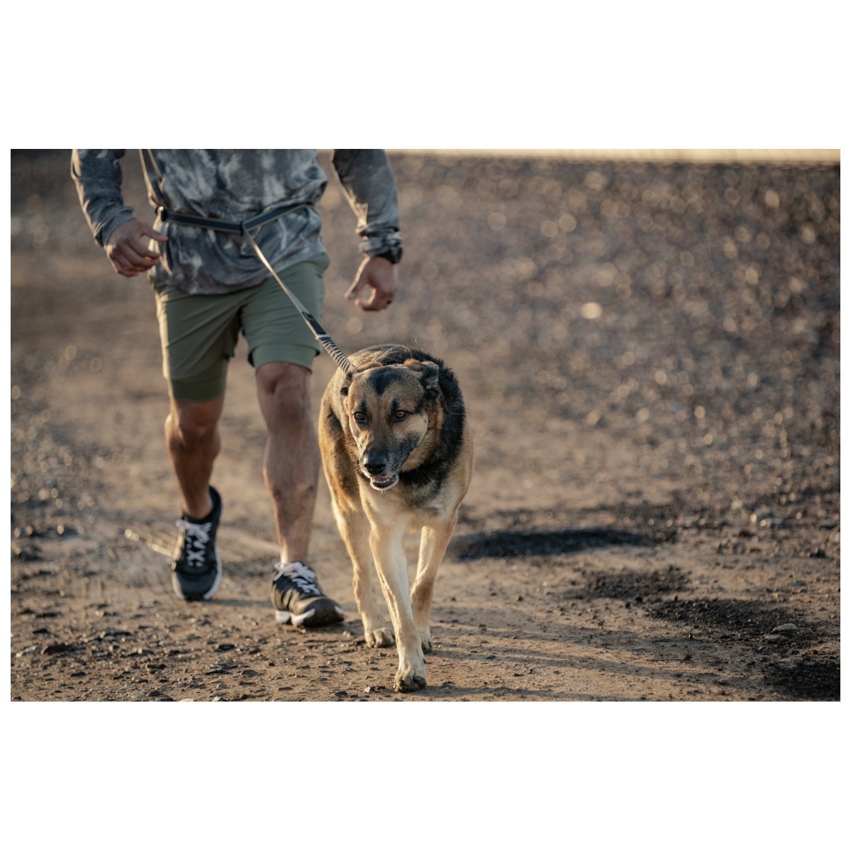 Mission Ready Modular Dog Leash (Fluorescent Orange)