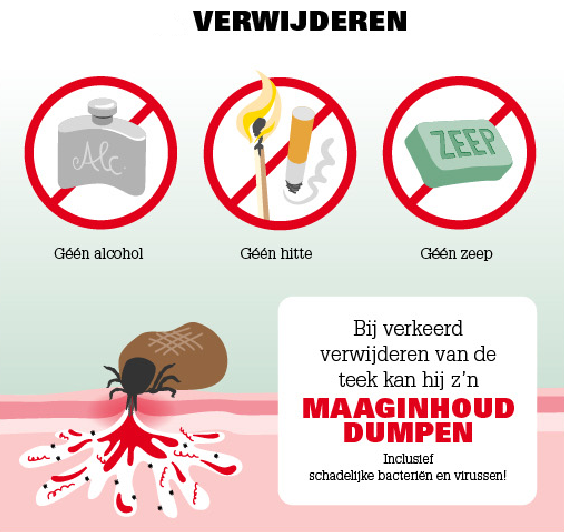 Ticks-2-Go Tekentang