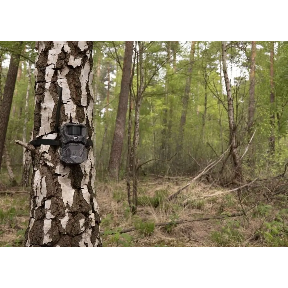 Wildlife Camera T16