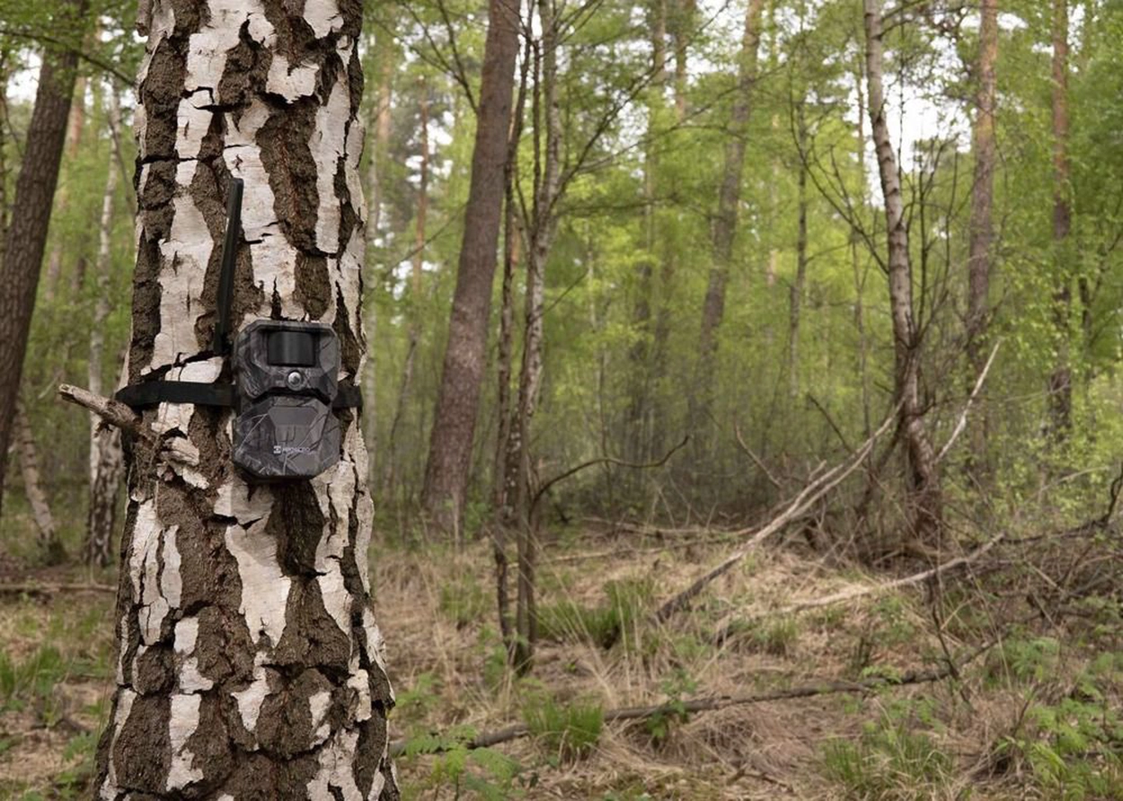 Wildlife Camera T16