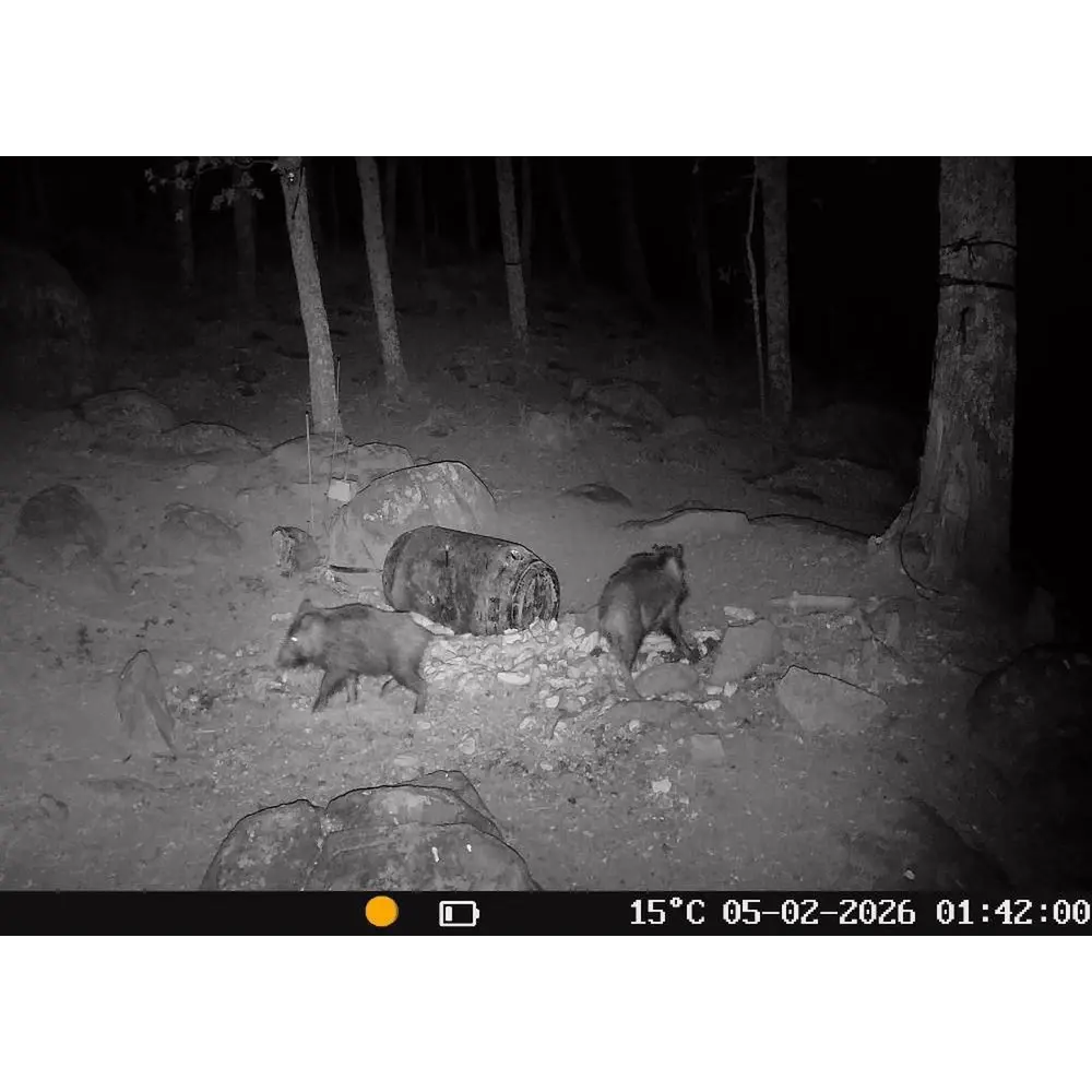 Wildlife Camera T16