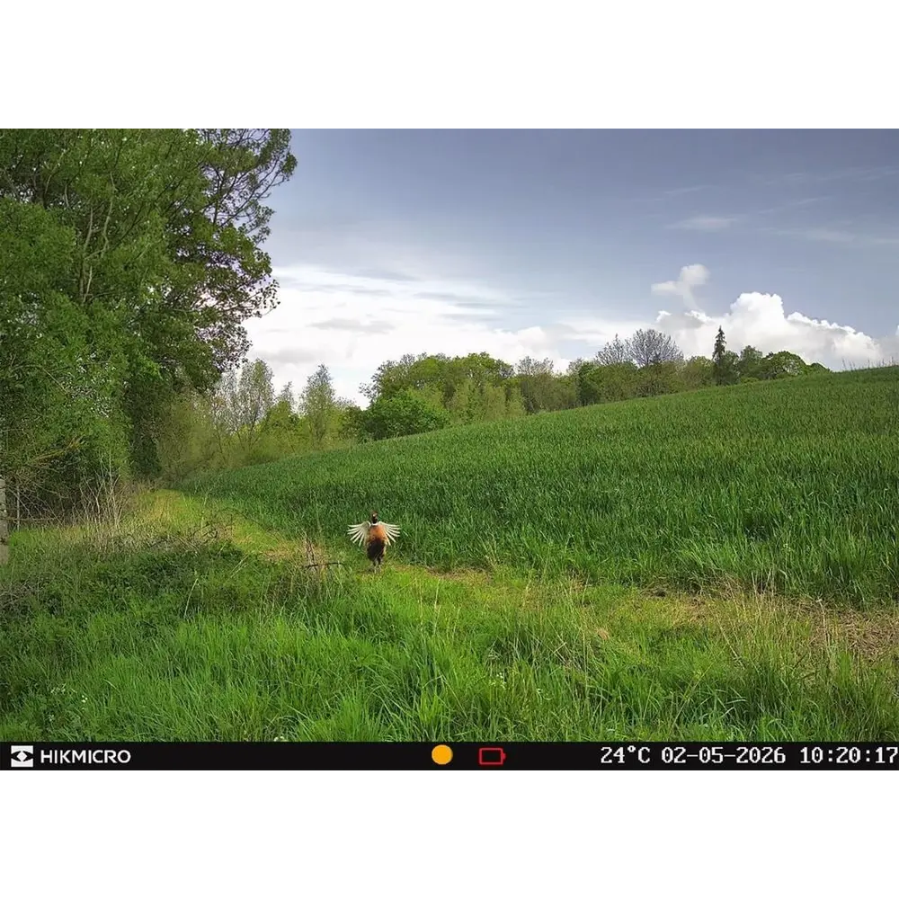 Wildlife Camera T16