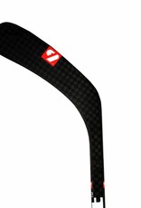 HS-9 ice hockey stick carbone HM