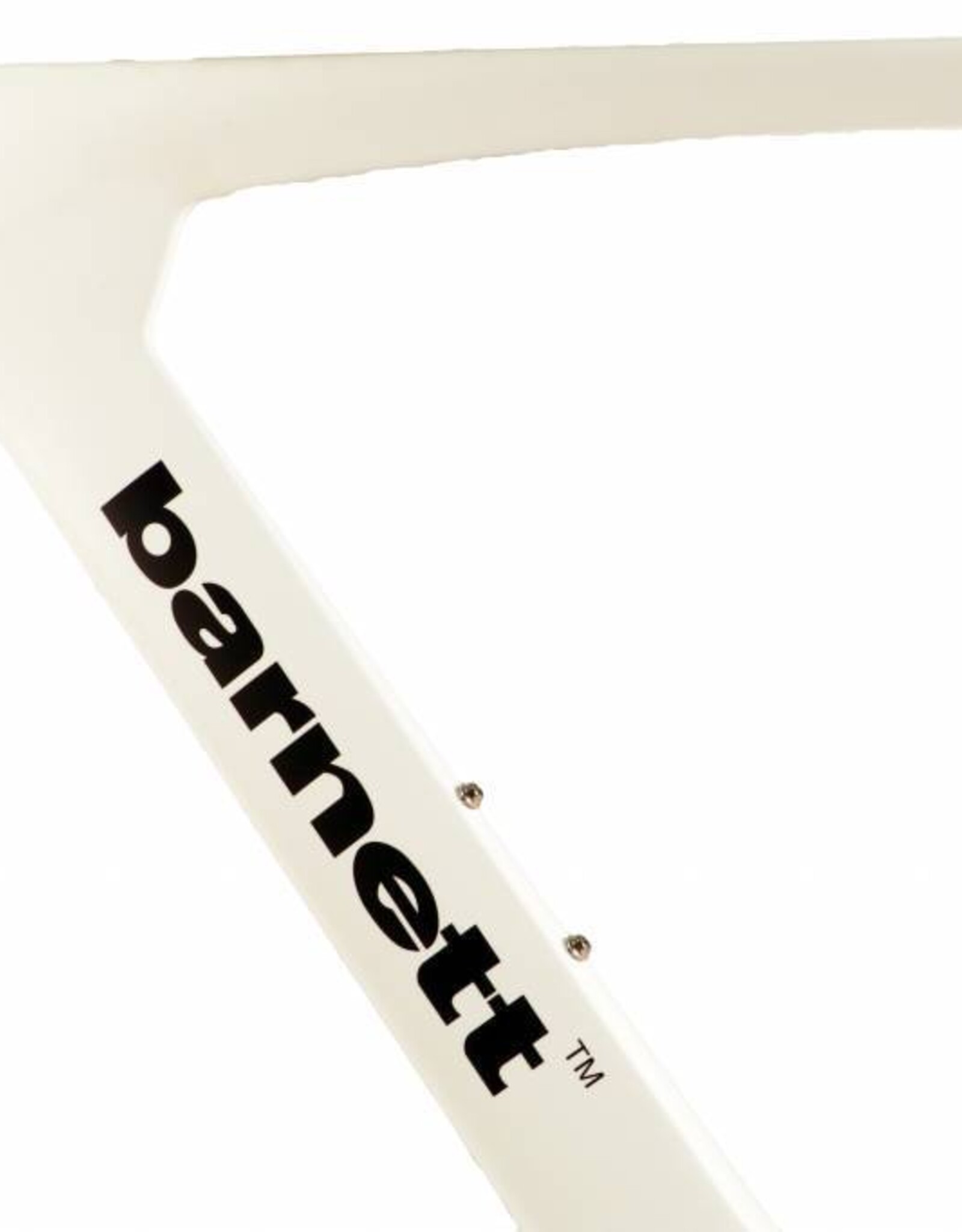 TT-01 carbon frame Bicycle in TIME TRAIL