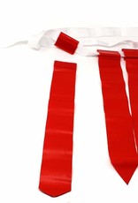 Barnett FLAG FOOTBALL flags and belts by 10 (1 by 3)