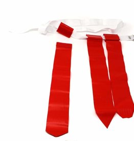 Barnett FLAG FOOTBALL flags and belts by 10 (1 by 3)