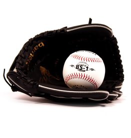 GBJL-5 Baseball set baseball glove and ball, youth  (JL-95, BS-1)