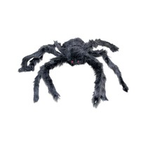 Zwarte Spin 60cm