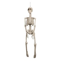 Decoratie Skelet 92cm