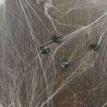 Spinnenweb 20 gram met 6 spinnen