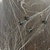 Spinnenweb 20 gram met 6 spinnen
