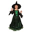 Heksenjurk Kind Groen Premium + Hoed